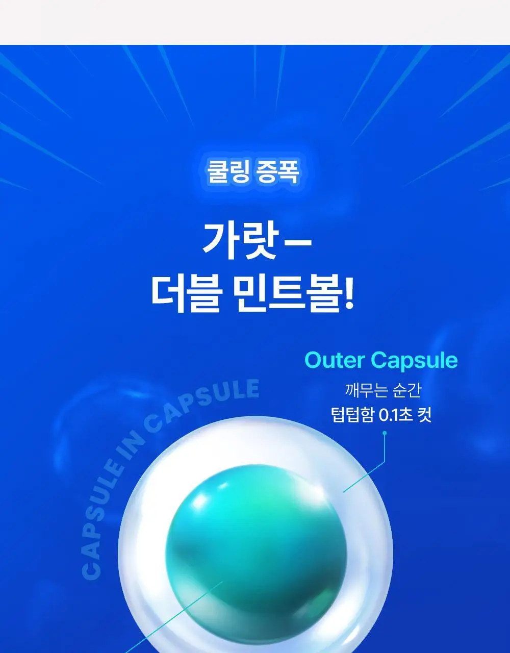 [포켓몬 에디션][5월 올영픽] 듀오버스터 민트볼 더블기획 (+피카츄 3종 랜덤 키링) 상세페이지 10